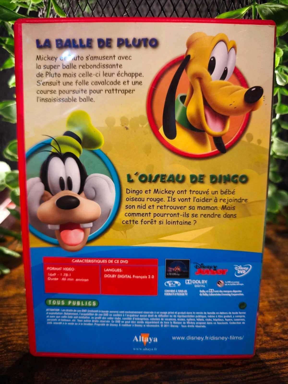 Het huis van Mickey. De bal van Pluto – photo 2